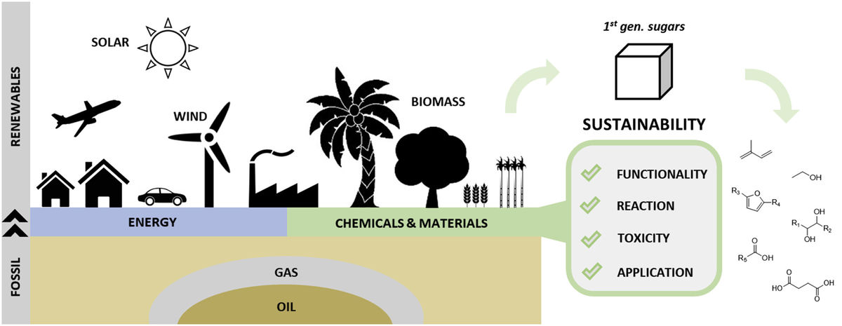 Straightforward sustainability assessment of sugar-derived molecules from first-generation biomass