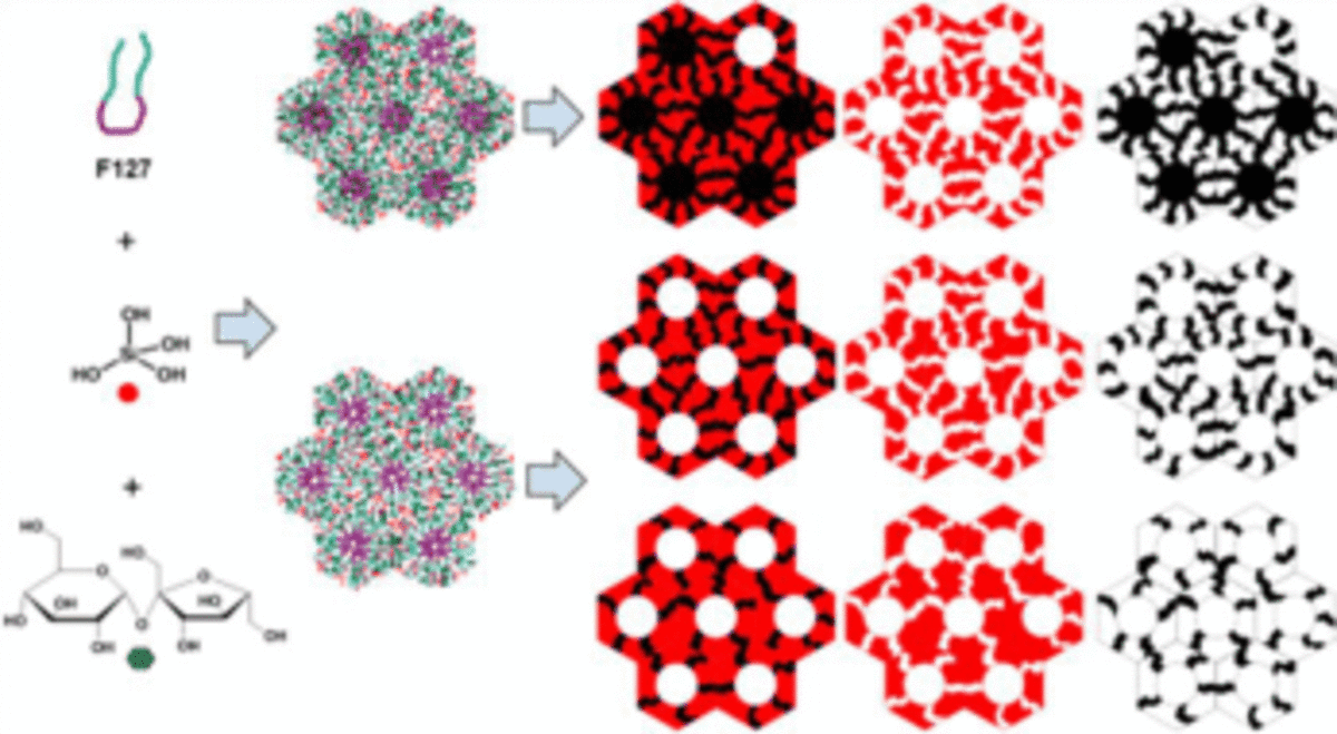 An Eco-friendly Soft Template Synthesis of Mesostructured Silica-Carbon Nanocomposites for Acid Catalysis