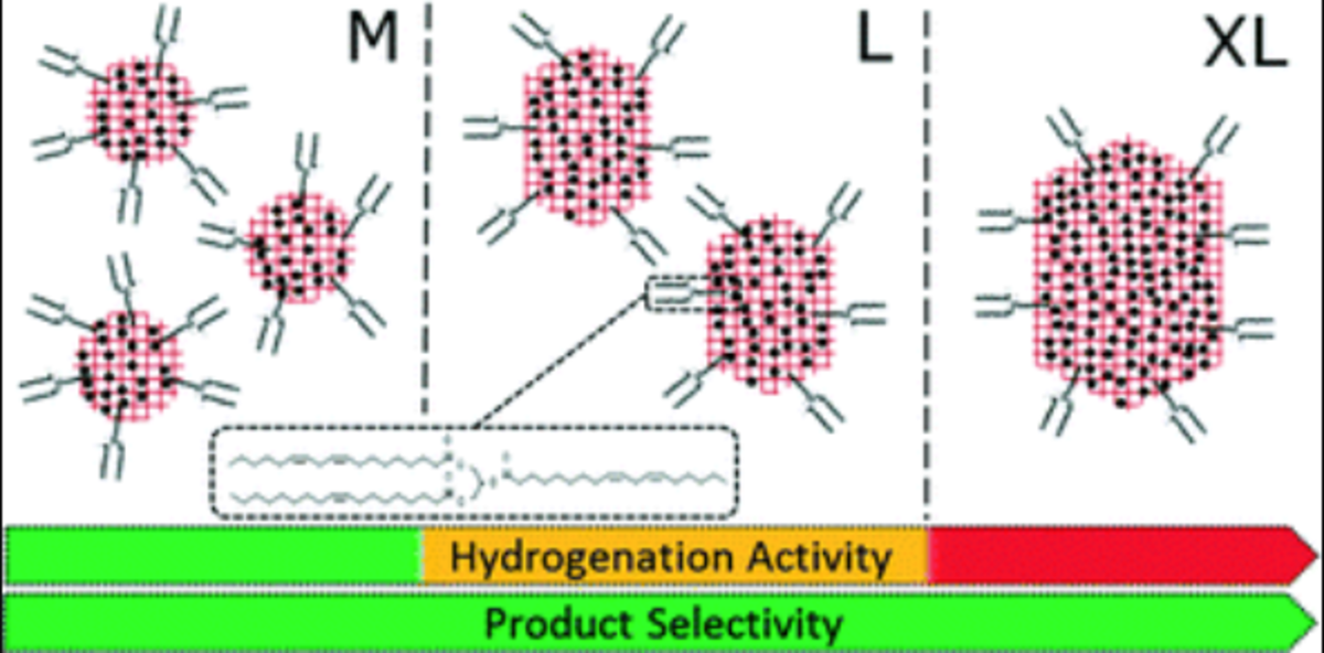 Towards biolubricant compatible vegetable oils by pore mouth hydrogenation with shape-selective Pt/ZSM-5 catalysts