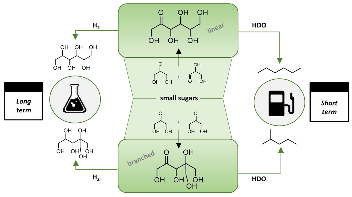 Branching-first: synthesizing C-C skeletal branched bio-based chemicals from sugars