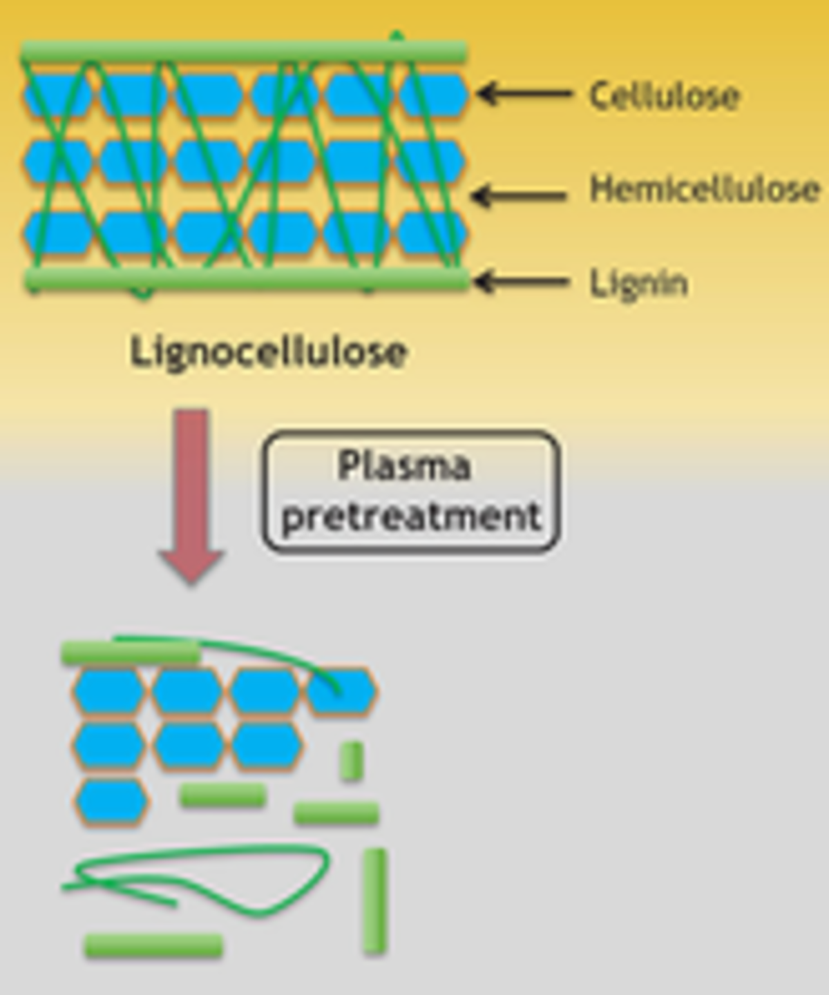 Unconventional Pretreatment of Lignocellulose with Low‐Temperature Plasma