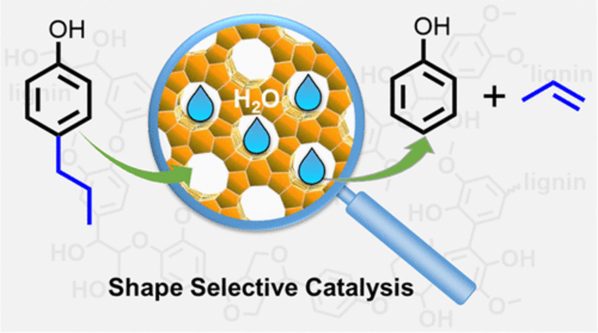 Propylphenol to Phenol and Propylene over Acidic Zeolites: Role of Shape Selectivity and Presence of Steam.