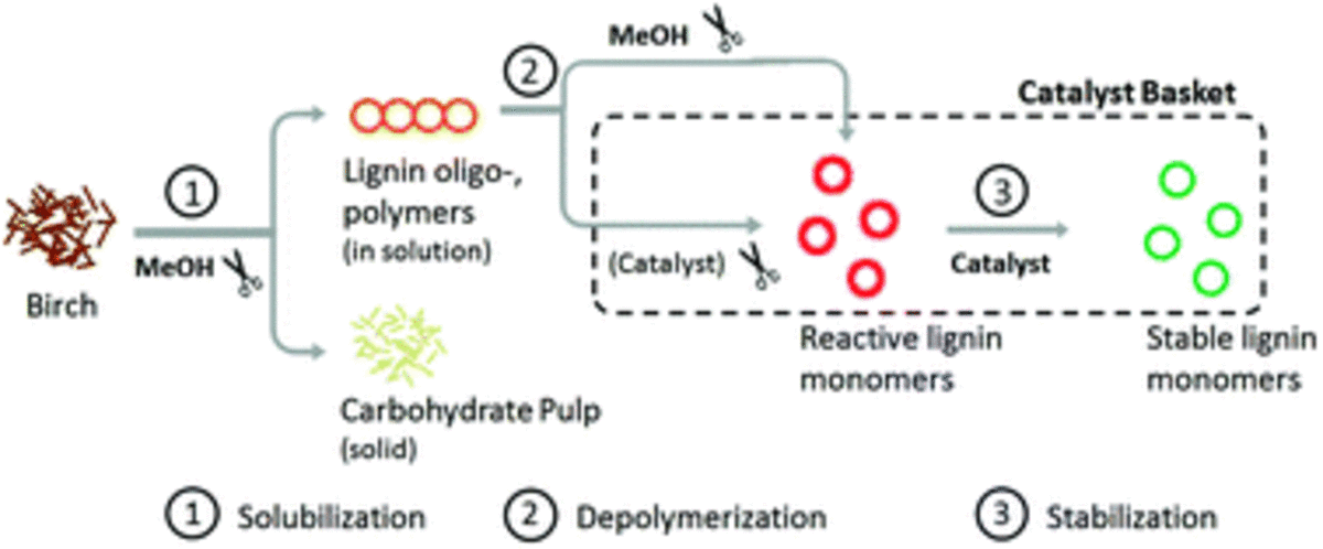 Integrating lignin valorization and bio-ethanol production: on the role of Ni-Al 2 O 3 catalyst pellets during lignin-first fractionation