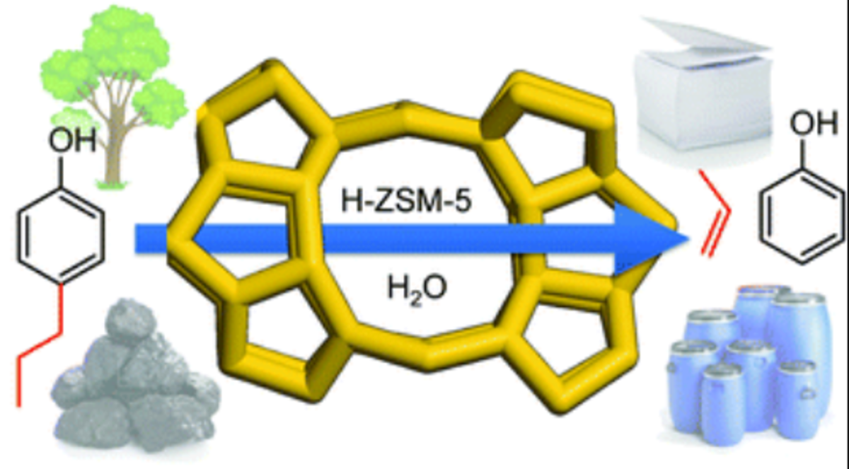 Alkylphenols to phenol and olefins by zeolite catalysis: a pathway to valorize raw and fossilized lignocellulose