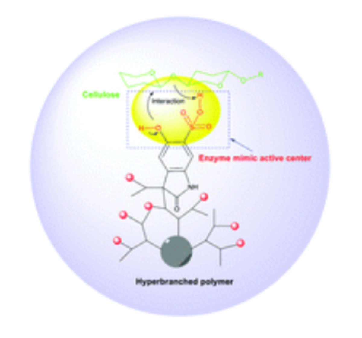 Water-soluble sulfonated hyperbranched poly(arylene oxindole) catalysts as functional biomimics of cellulases