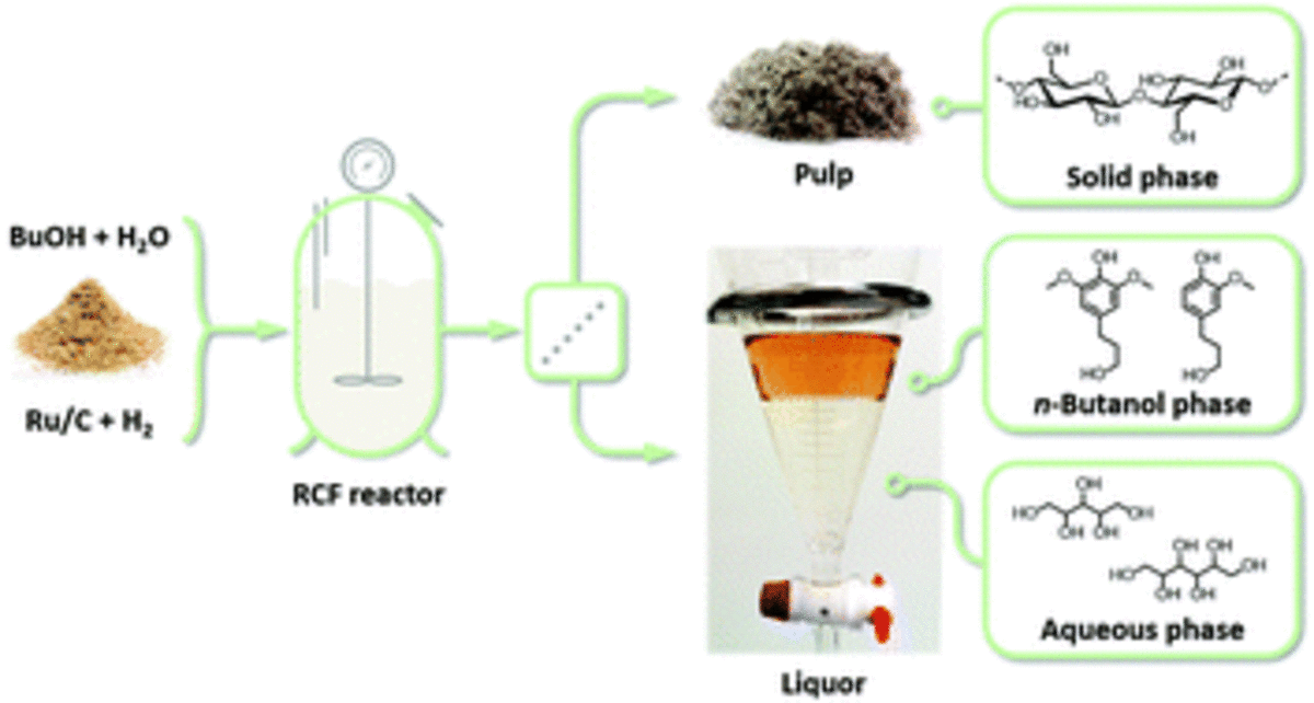 Catalytic lignocellulose biorefining in n-butanol/water: a one-pot approach toward phenolics, polyols, and cellulose.