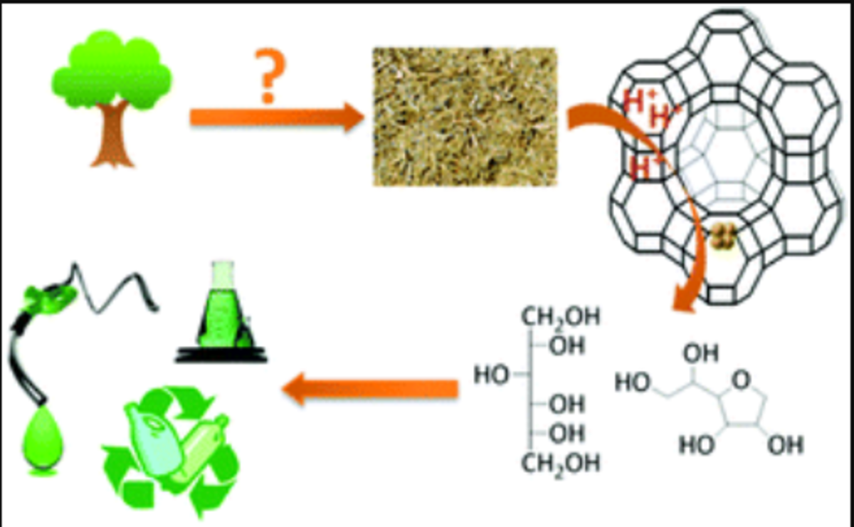 The importance of pretreatment and feedstock purity in the reductive splitting of (ligno)cellulose by metal supported USY zeolite
