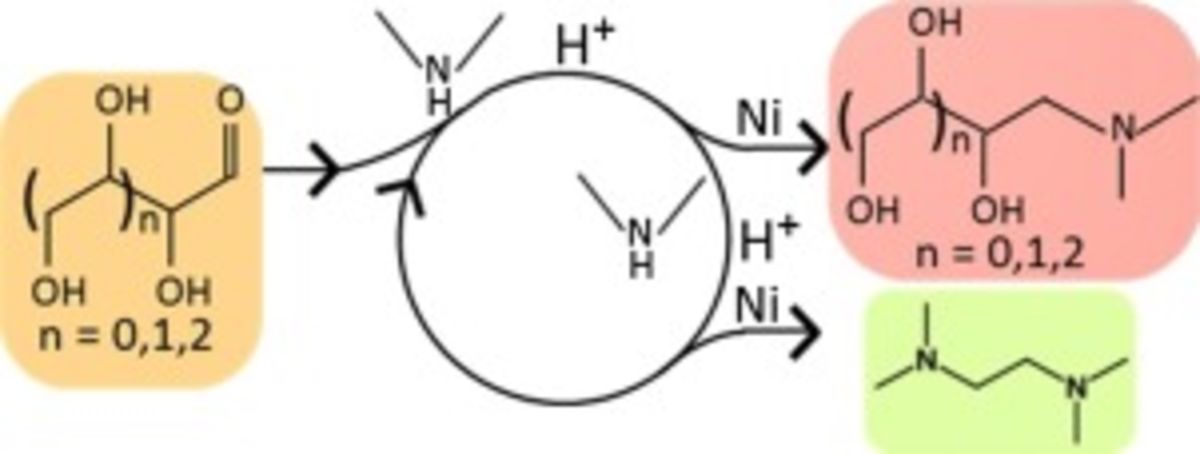 Kinetics of Homogeneous and Heterogeneous Reactions in the Reductive Aminolysis of Glucose with Dimethylamine.