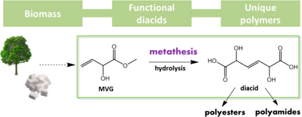 Synthesis of Novel Renewable Polyesters and Polyamides with Olefin Metathesis