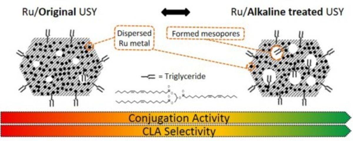 Heterogeneous conjugation of vegetable oil with alkaline treated highly dispersed Ru/USY catalysts