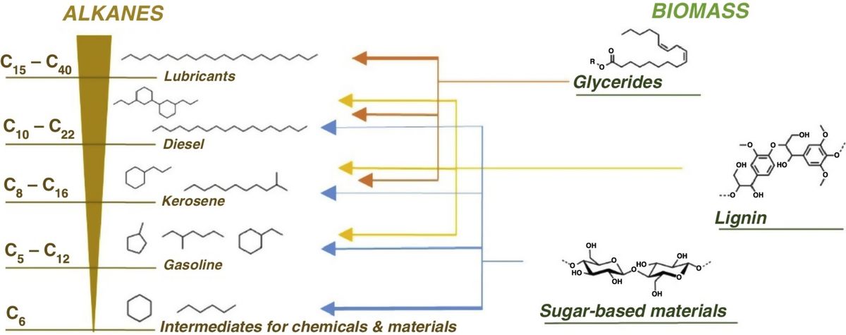 Alkane production from biomass: chemo-, bio- and integrated catalytic approaches